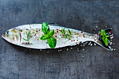 A whole raw fish with herbs and spices (top view)