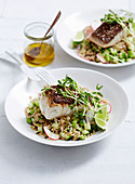 Crispy skin fish with brown rice and cucumber salad