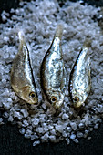 A small fresh fish lies on a layer of sea salt