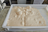 Leaving the pizza dough to rise