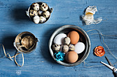 Assortment of eggs, decor elements on a rustic blue wooden background