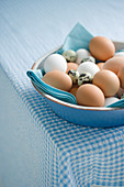 Various eggs in a ceramic bowl