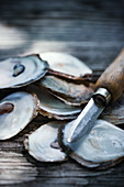 A oyster knife and oyster shells
