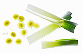 Leek, outer leaves and slices lit from behind (seen from above)
