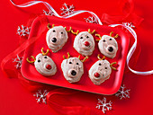 Chocolate meringue reindeer cookies for Christmas
