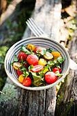 Wassermelonen-Tomaten-Salat zum Picknick