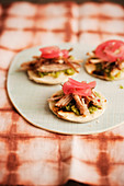 Mini tortillas with tomatillo salsa, pulled pork and pickled onions (Mexico)