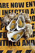 Oysters in an orange and ginger sauce