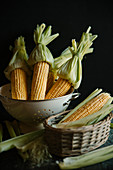 Corncobs in a sieve and a basket