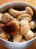 A bowl of fresh porcini mushrooms