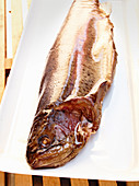 A smoked trout