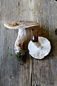 Fresh blusher mushrooms (Amanita Rubescens) on a wooden surface