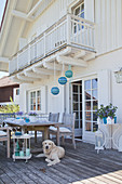 Dog lying next to set table on summery terrace