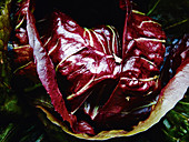 Radicchio