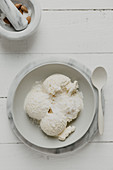 Vanilla and coconut ice cream with grated coconut