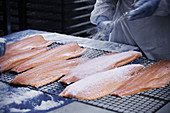 Salmon fillets being salted