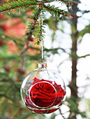 Red rose in glass Christmas-tree bauble