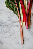 Colourful-stemmed rhubarb on a marble surface (seen from above)