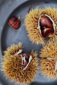 Sweet chestnuts in shells (close up)