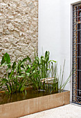 Pflanzen im rechteckigen Teich vor Natursteinmauer und Hauswand