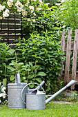 Two zinc watering can in idyllic summer garden with old wooden fence