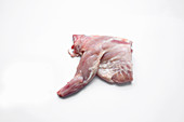 Shoulder of rabbit with foreleg on a white surface
