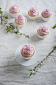 Vegan vanilla and semolina cupcakes with raspberry frosting