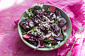 Salad with roasted beetroot, feta cheese, radish, red cabage, red onion, sunflower seeds and wild garlic flowers