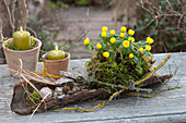 Winter warmers in the moss nest as table decorations