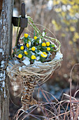Winter aconites and snowdrops hung in a pointed basket