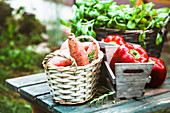 Freshly harvested vegetables in baskets on a table in a garden