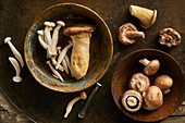 Still life of mushrooms, Chestnut Mushroom, Oyster mushroom, Portobello