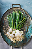 Still life of spring onions