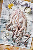 Oktopus mit Mehl auf Zeitungspapier
