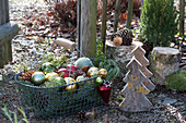 Korb mit Christbaumkugeln als weihnachtliche Deko im Garten