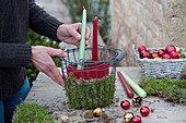 Candle arrangement in a wire basket as Advent wreath