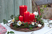 Adventskranz mit Blüten der Christrose und roten Beeren