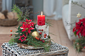 Advent arrangement with poinsettia and branches