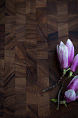 Magnolia flowers on wooden surface