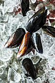 Fresh mussels on ice