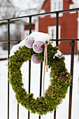 Mossy winter wreath with apples hung on fence