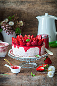 Hüttenkäsekuchen mit Erdbeeren