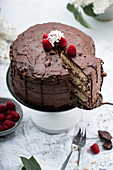 Cake with chocolate cream and raspberry puree (vegan)
