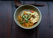 Wonton soup in a bowl (Asia)