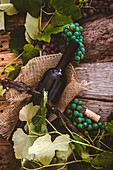 Weinflasche, grüne Trauben und Weinblätter