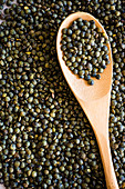 Lentils on a wooden spoon