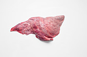 Veal lungs