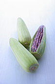 Purple corncobs