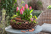 Tulips In Wreath Of Branches