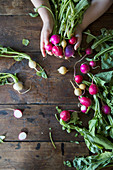Hands holding a collection of radishes over a wooden board